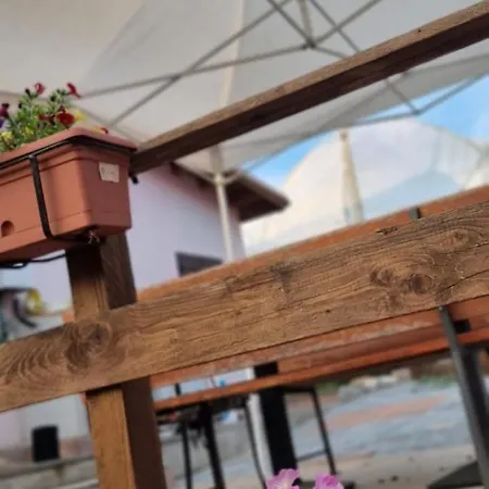 La Casa Dei Kiwi * Lanuvio